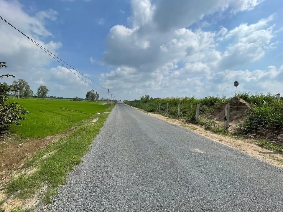 Đất Mặt Tiền Đường QL N2B, Xã Bình Thạnh Trung, Lấp Vò - 6073m², giá 7.19 tỷ - Cơ hội đầu tư tuyệt vời!