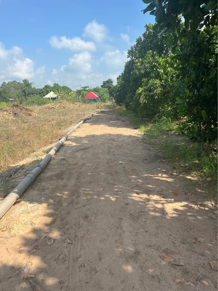 Đất nền phường Mỹ Ngãi, Cao Lãnh 215m² giá 550 triệu - Cơ hội đầu tư tuyệt vời!