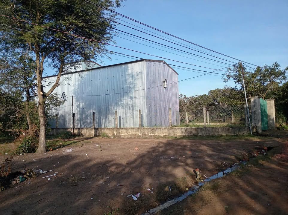 Đất nhà yến Ea Kar 1200m² giá 980 triệu - Đầu tư sinh lời ngay!