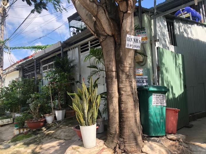 Nhà phố 2 tầng 80m² Tân Thuận, Quận 7 chỉ 6 tỷ - Tiện xây mới ngay!