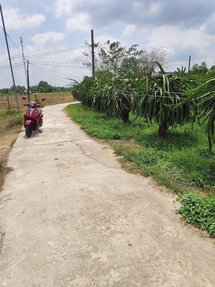 Đất thổ cư 1000m² tại Hàm Chính - Giá chỉ 490 triệu, đầu tư sinh lời ngay!