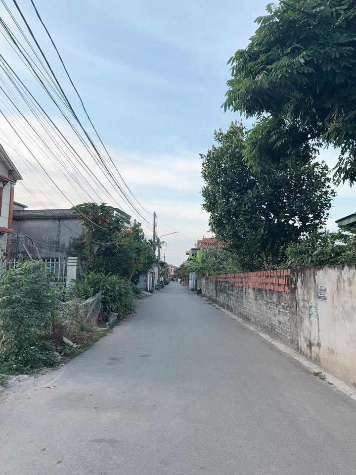 Đất nền góc 2 mặt tiền tại Phường Phong Hải, Quảng Yên 264m² - Vị trí đắc địa, dân cư đông đúc!