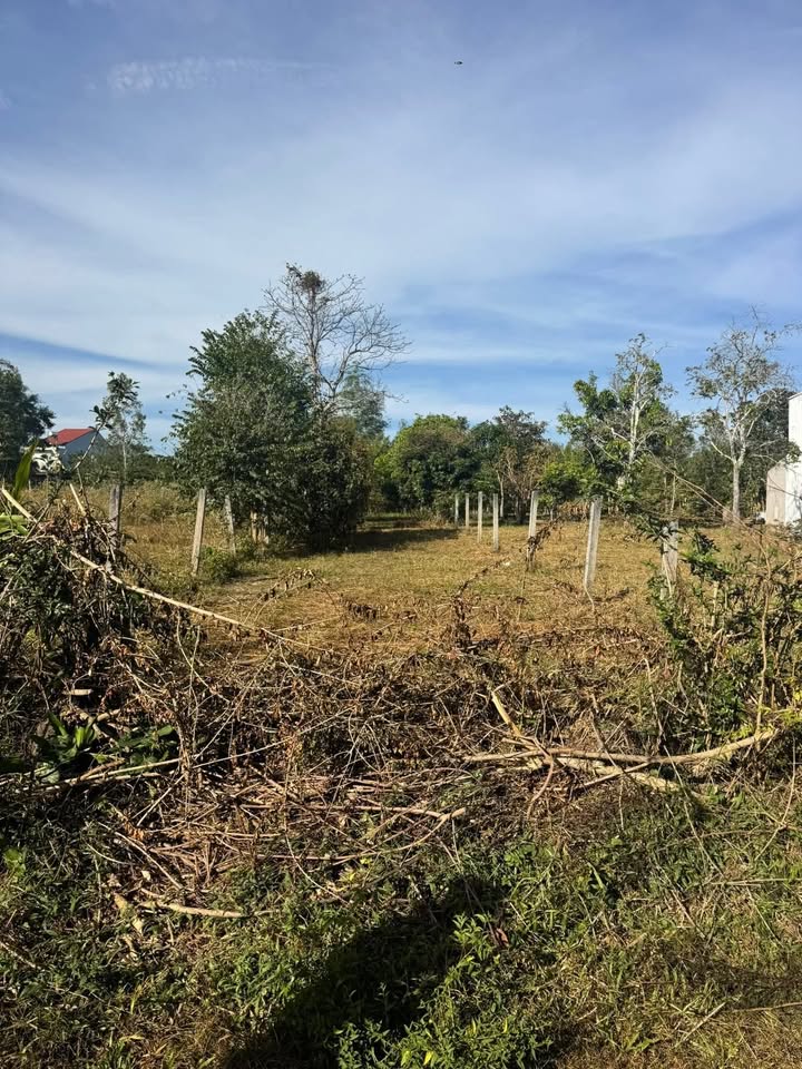 Đất thổ cư Đăk Cấm, Kon Tum 480m² giá 700 triệu - Cơ hội vàng cho nhà vườn!