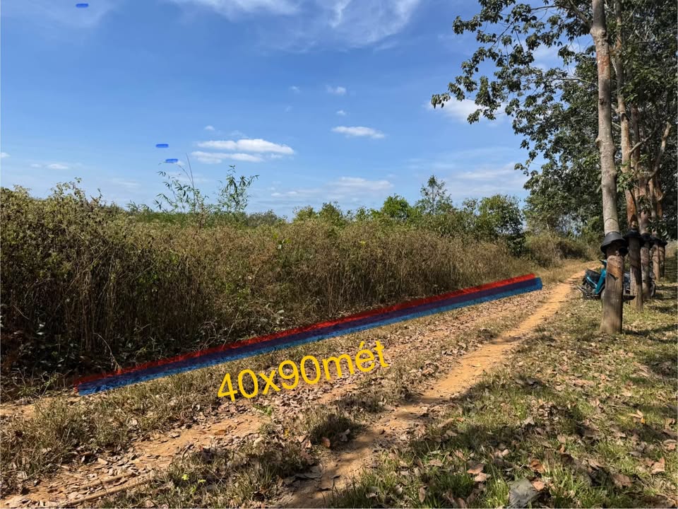 Đất nông nghiệp 3,7 sào tại xã Hòa Bình, Kon Tum - Giá chỉ 500 triệu!