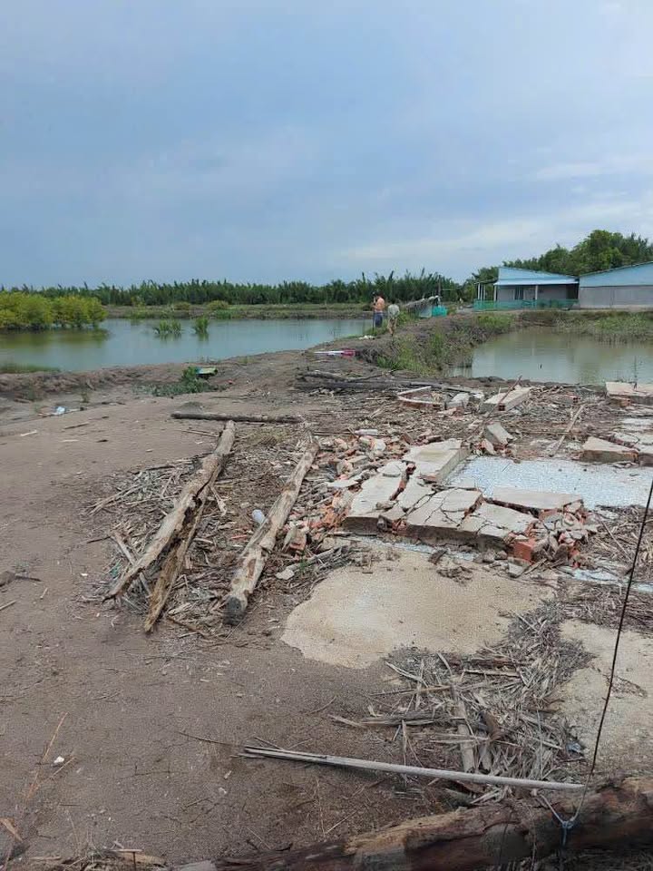 Đất nền Lý Nhơn, An Thới Đông, Cần Giờ 1000m² - Sổ hồng riêng chính chủ!