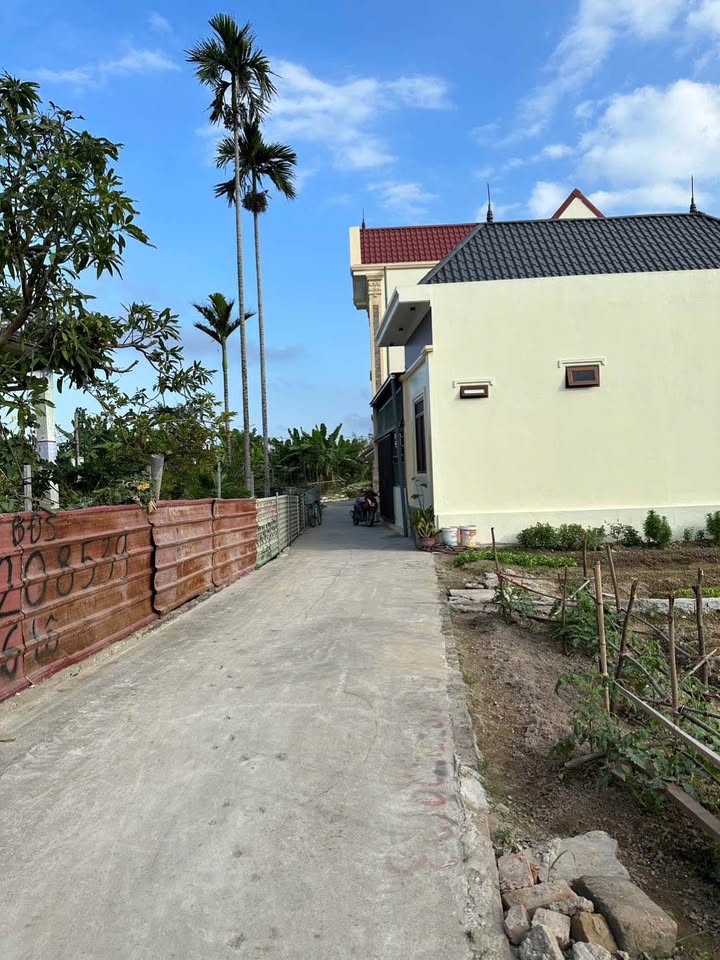 Nhà 50m² Hồng Thái, An Dương giá 1.15 tỷ - Cơ hội hiếm có!