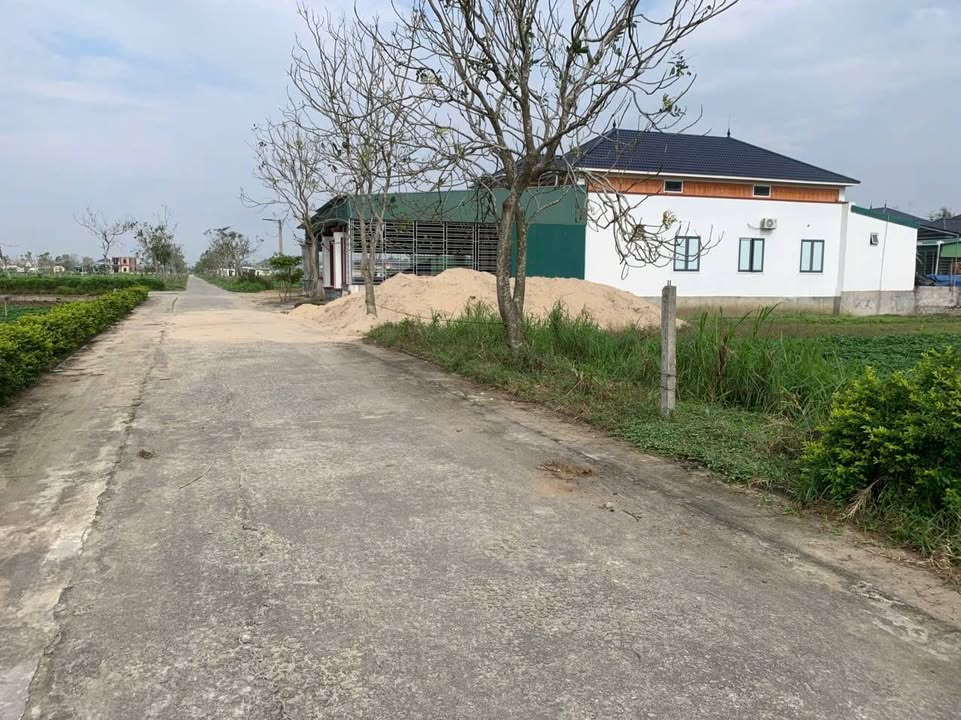 Đất nền Thạch Trị, Thạch Hà 300m² giá 1 tỷ - Cơ hội đầu tư hấp dẫn!