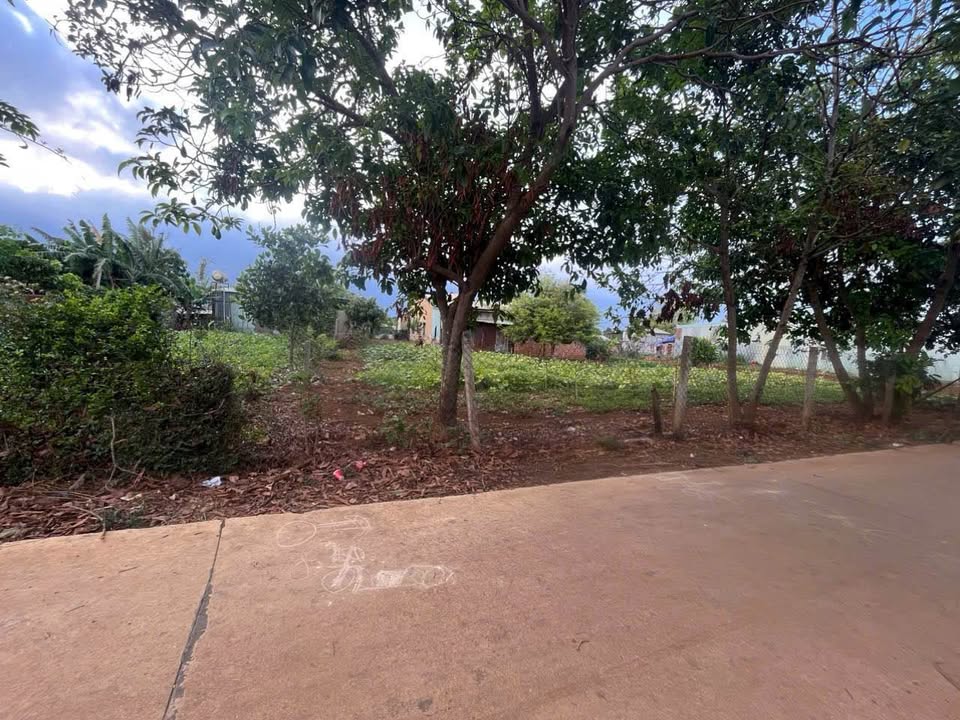 Đất nền Lý Thường Kiệt, An Phú, Pleiku 135m² giá 629 triệu - Sổ đỏ chính chủ!