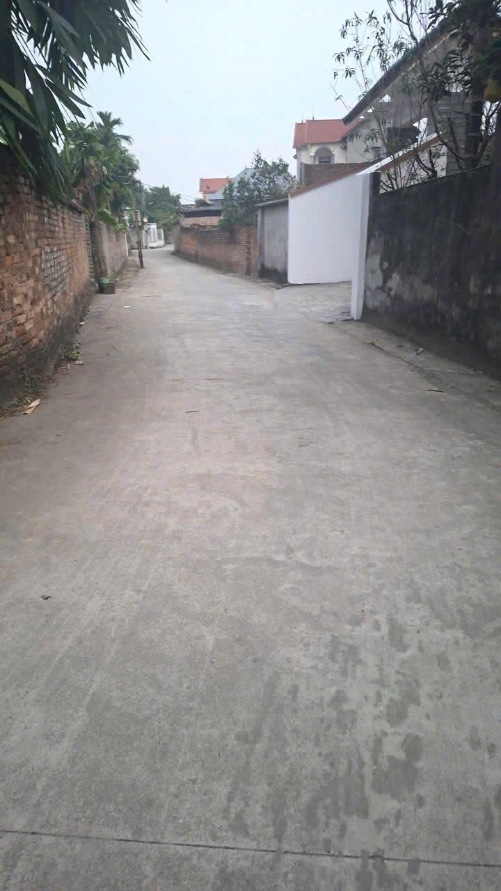 Đất thổ cư Xuân Phú, Yên Dũng, Bắc Giang 300m² - Đường thông ô tô chạy thoải mái!