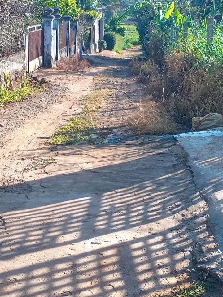 Đất nền tại hẻm Bùi Viện, Pleiku 135m² giá chỉ 4xx triệu - Cơ hội đầu tư lý tưởng!