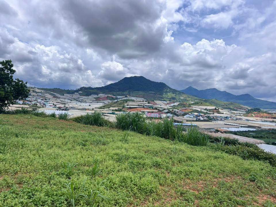 Đất nông nghiệp Lạc Dương 1840m² giá 4 tỷ - Cơ hội đầu tư hấp dẫn!