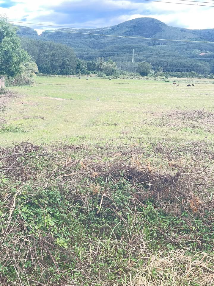 Đất nền 2000m² tại thôn 1, xã Đăk La, Đăk Hà - Giá chỉ 2 tỷ, cơ hội đầu tư tuyệt vời!