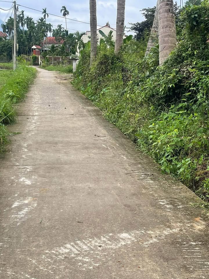 Đất Nghĩa Kỳ Tư Nghĩa 150m² giá 580 triệu - Đường ô tô thông thoáng!