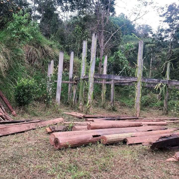 Đất Kỳ Sơn, Hòa Bình 1032m² giá 699 triệu - Đầu tư sinh lời cao!