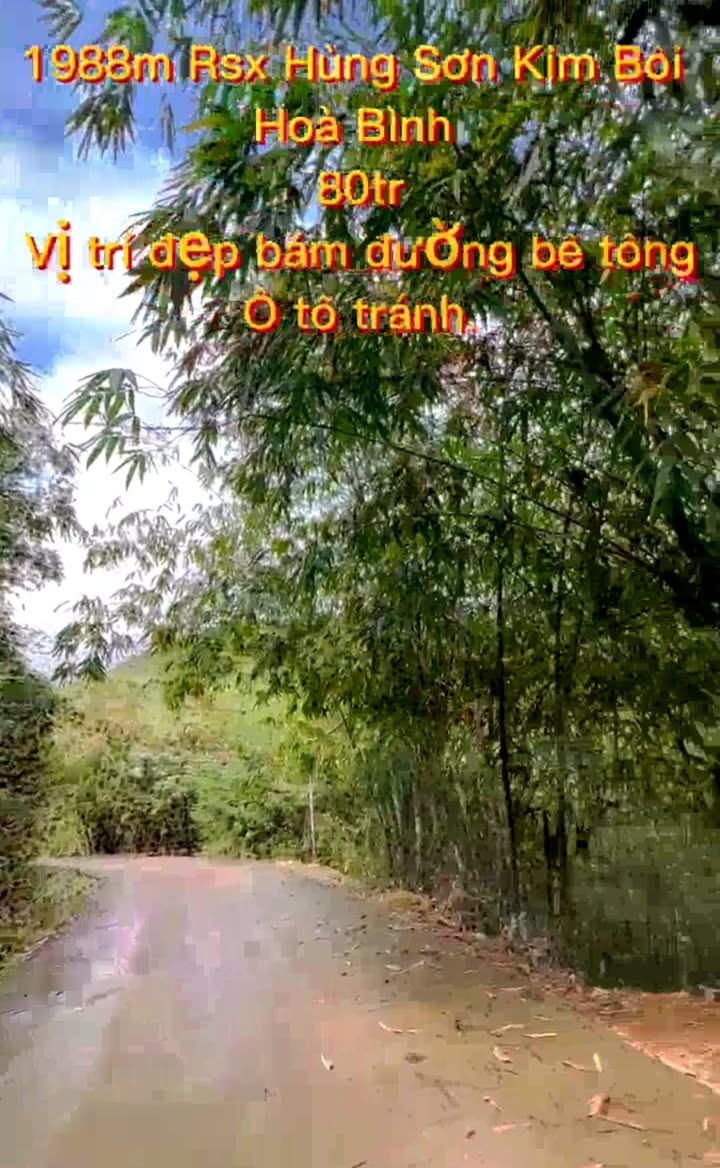 Đất rừng sản xuất Hùng Sơn Kim Bôi 2000m² chỉ 85 triệu - Cơ hội đầu tư tuyệt vời!