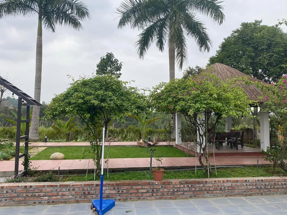 Villa Cư Yên, Lương Sơn 1000m² giá thỏa thuận - Không gian sống lý tưởng giữa thiên nhiên