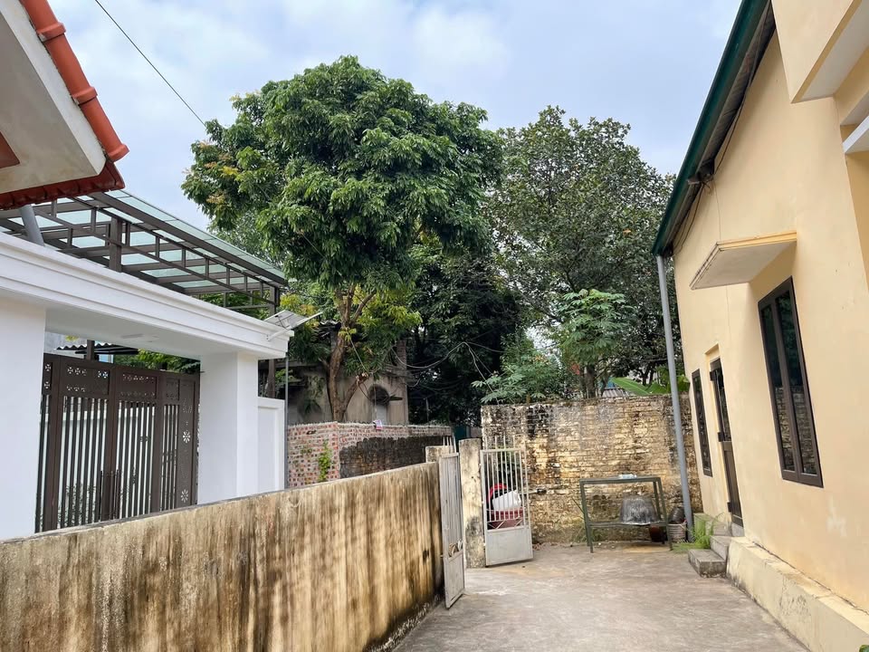 Nhà mới đường Nguyễn Đình Chiểu, 70m² giá thỏa thuận - Chỉ cần dọn đến ở!