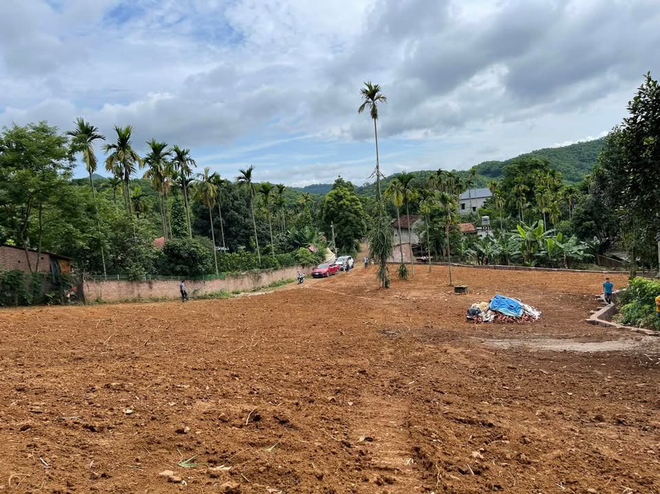 Đất nghỉ dưỡng mặt tiền siêu rộng Yên Bình Thạch Thất 1548m² - Đầu tư sinh lời ngay!