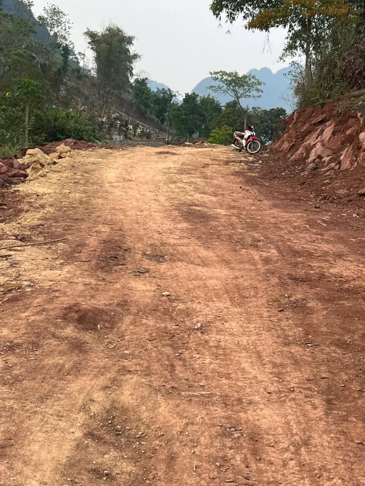 Đất thổ cư 400m² tại Phú Vinh, Tân Lạc, Hòa Bình giá 295 triệu - Tiềm năng đầu tư homestay tuyệt vời!