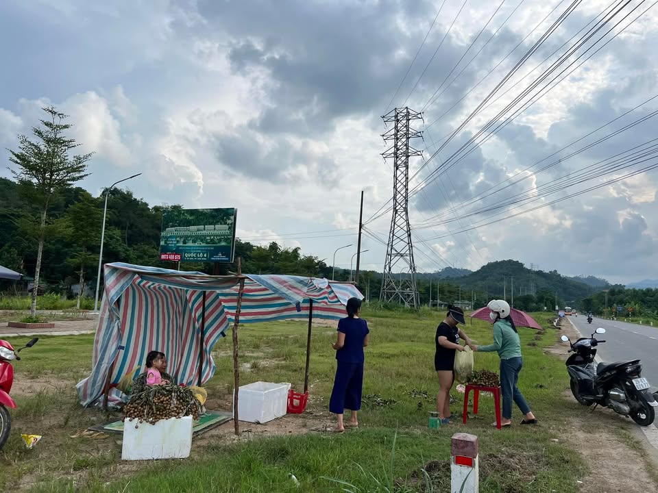 Đất nền Kỳ Sơn, Hòa Bình 1173m² giá 15 triệu/m² - Sổ đỏ từng lô, vị trí đắc địa!