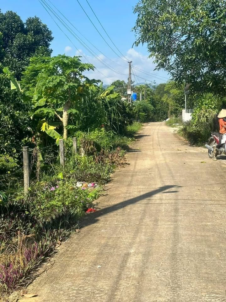 Đất thổ cư đẹp tại xóm Đại Đồng, Yên Thủy, Hòa Bình 300m² - Giá chỉ 300 triệu!