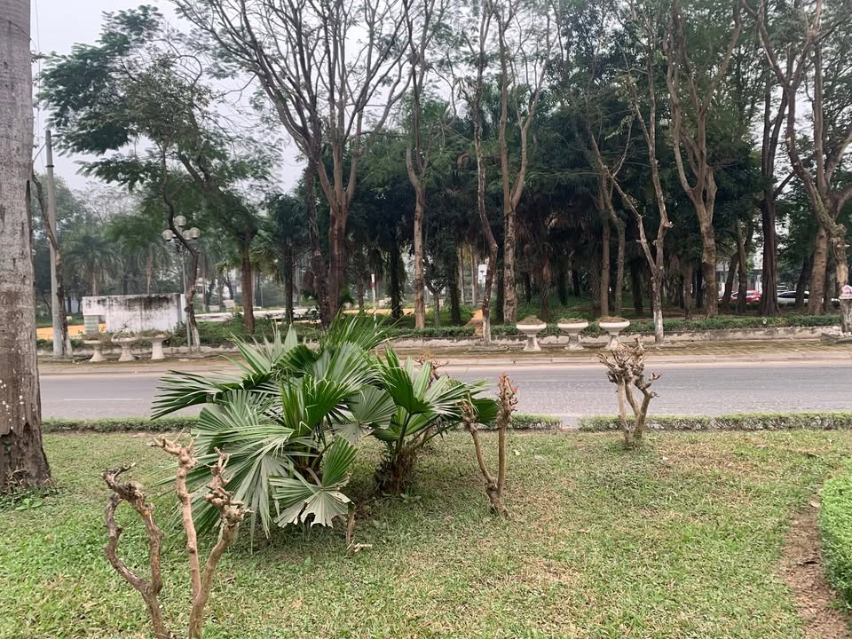 Bán nhà mặt tiền đường Trần Hưng Đạo, Hòa Bình, 67.5m² - Đầu tư sinh lời ngay!