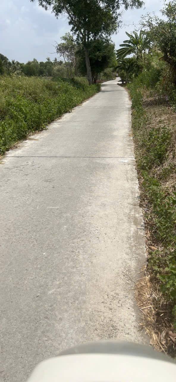 Đất thổ cư 300m² tại Tân Phong B, Cà Mau - Bán gấp chỉ 2.6 tỷ!