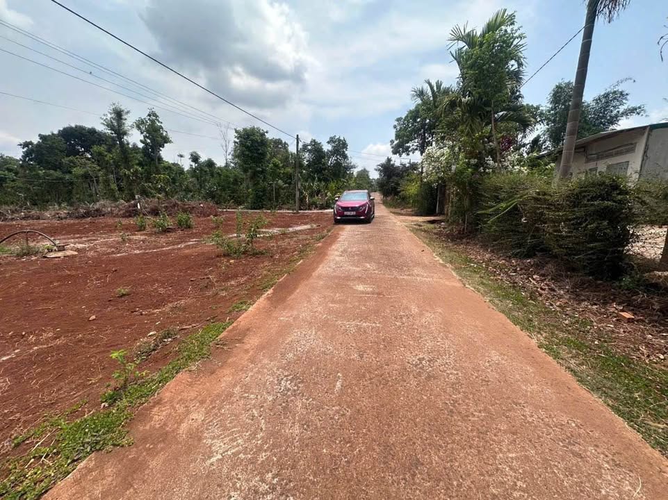 Đất nền Cư Suê Đắk Lắk 135m² giá 399 triệu - Sổ đỏ chính chủ, đường thông thoáng!