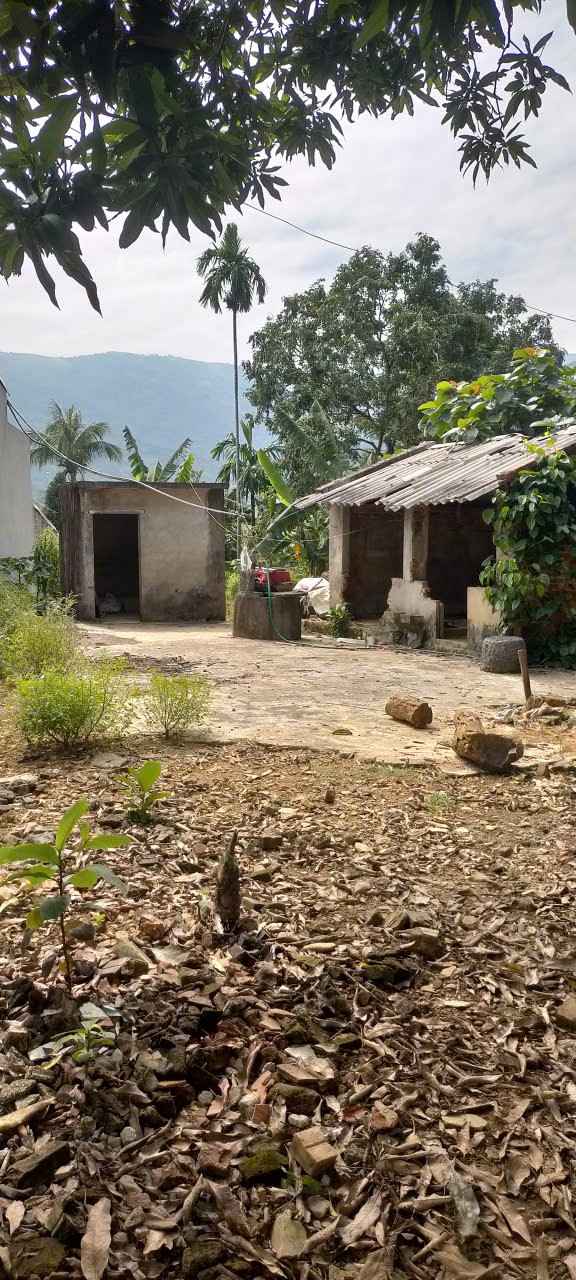 Lô đất 1.000m² Liên Sơn, Phú Thọ giá chỉ 8 tỷ - Cơ hội đầu tư hấp dẫn!