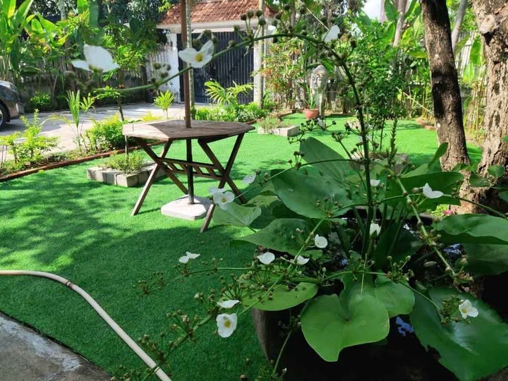 Biệt thự nghỉ dưỡng Điện Nam Trung 1200m² giá thương lượng - Đường trước nhà rộng 6m!