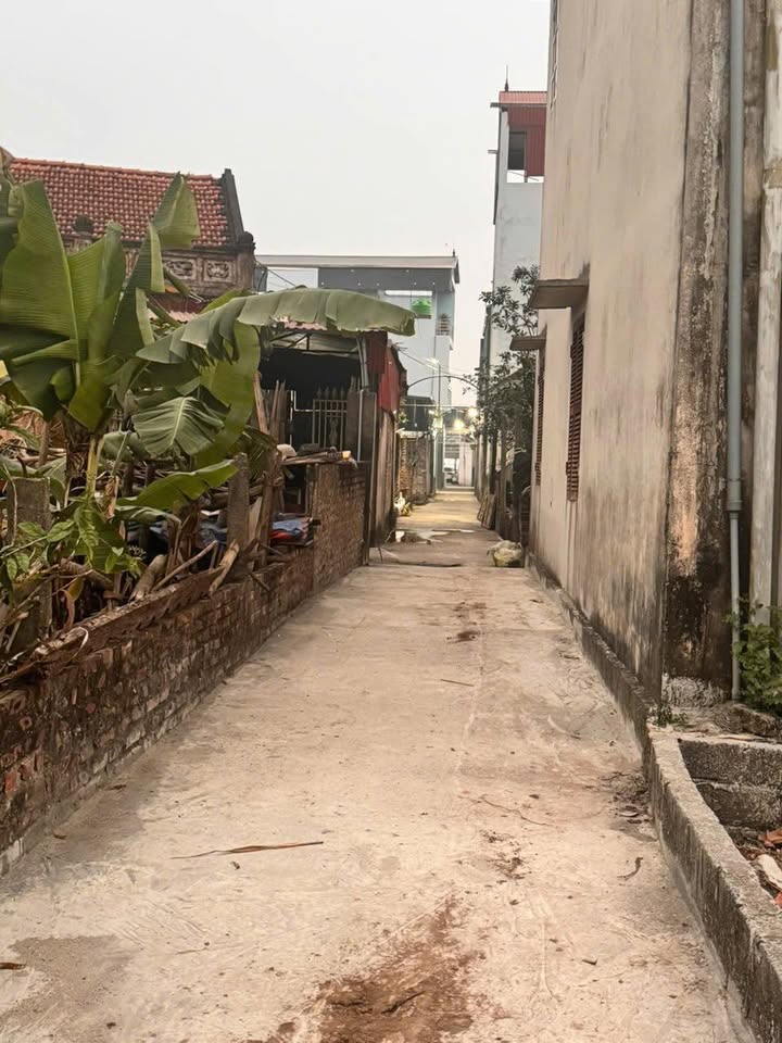 Nhà riêng Thư Phú Thường Tín 53.3m² giá 2.95 tỷ - Đầu tư sinh lời ngay!