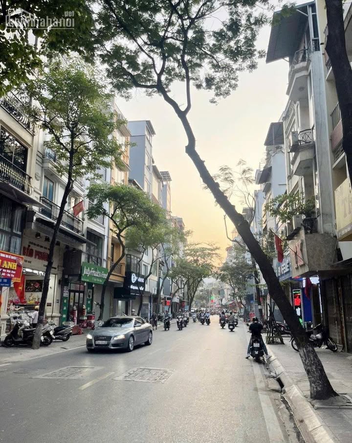 Đất nền Thụy Khuê 365m² giá 72.423 tỷ - Đầu tư sinh lời ngay!