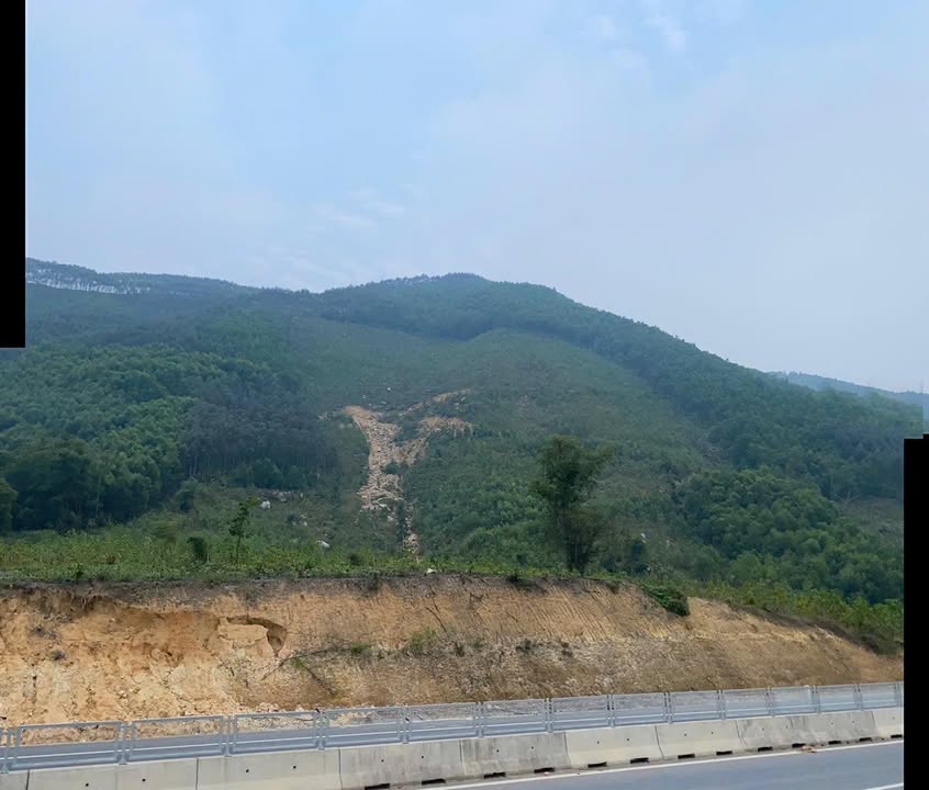 Đất rừng 3ha tại Quân Chu, Đại Từ, Thái Nguyên - Giá thỏa thuận hấp dẫn!