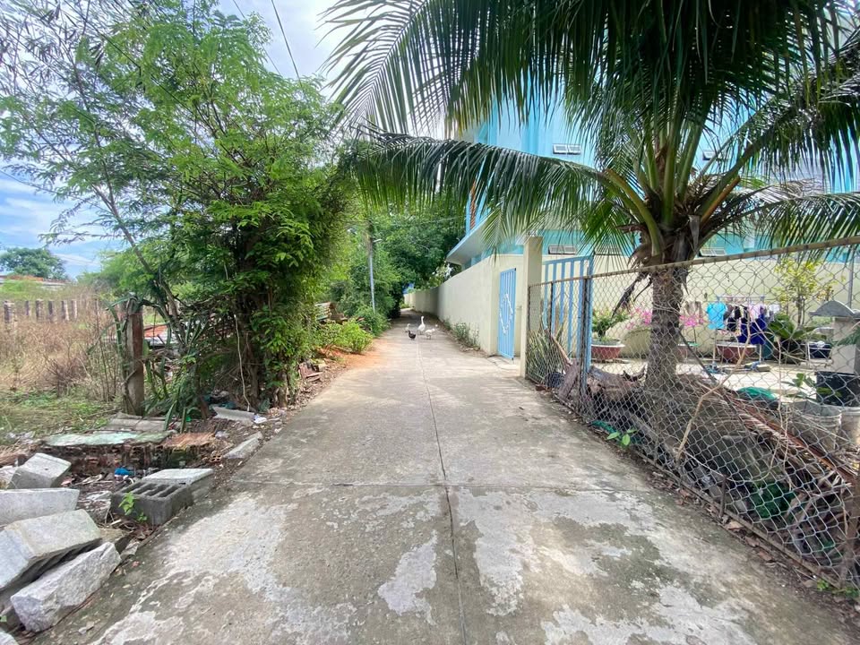 Nhà cấp 4 Phong Nẫm, Phan Thiết 140m² giá 1.4 tỷ - Sẵn sàng vào ở!