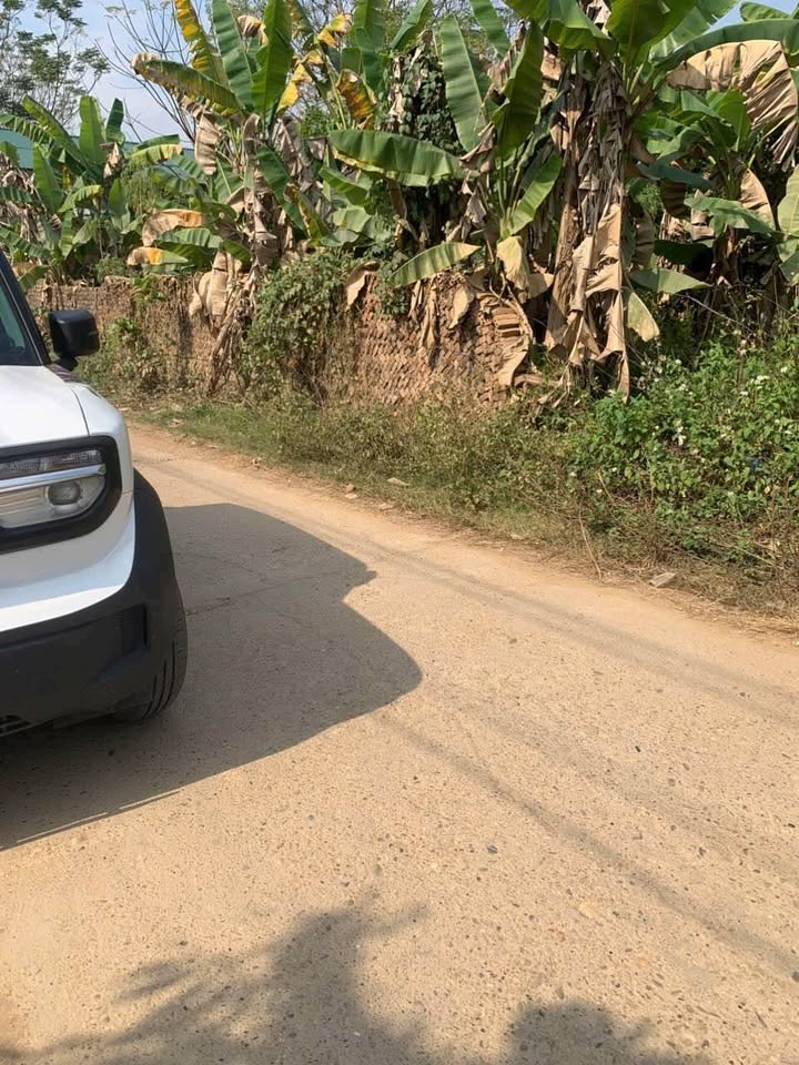 Đất vàng An Tường Tuyên Quang 168m² giá 1.55 tỷ - Cơ hội đầu tư tuyệt vời!