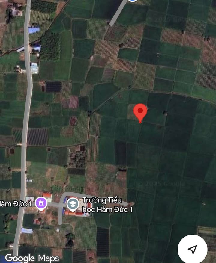 Đất nền 2xào tại xã Hàm Đức, huyện Hàm Thuận Bắc - Giá chỉ 100 triệu!