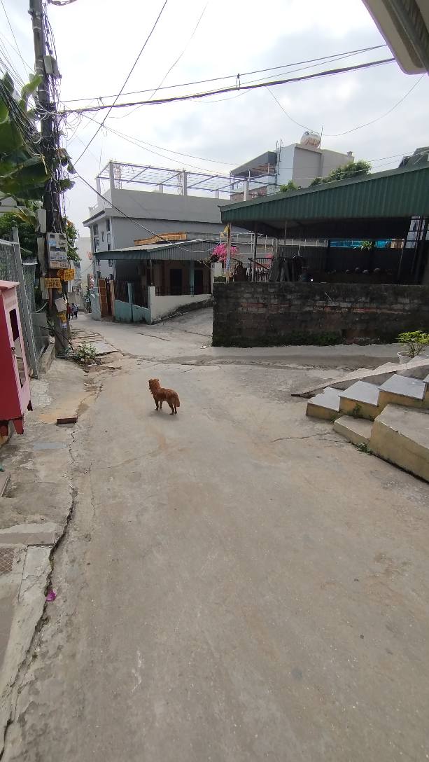 Đất nền Bãi Cháy Hạ Long 50m² giá 1 tỷ - Sổ đỏ chính chủ, ô tô vào tận nơi!