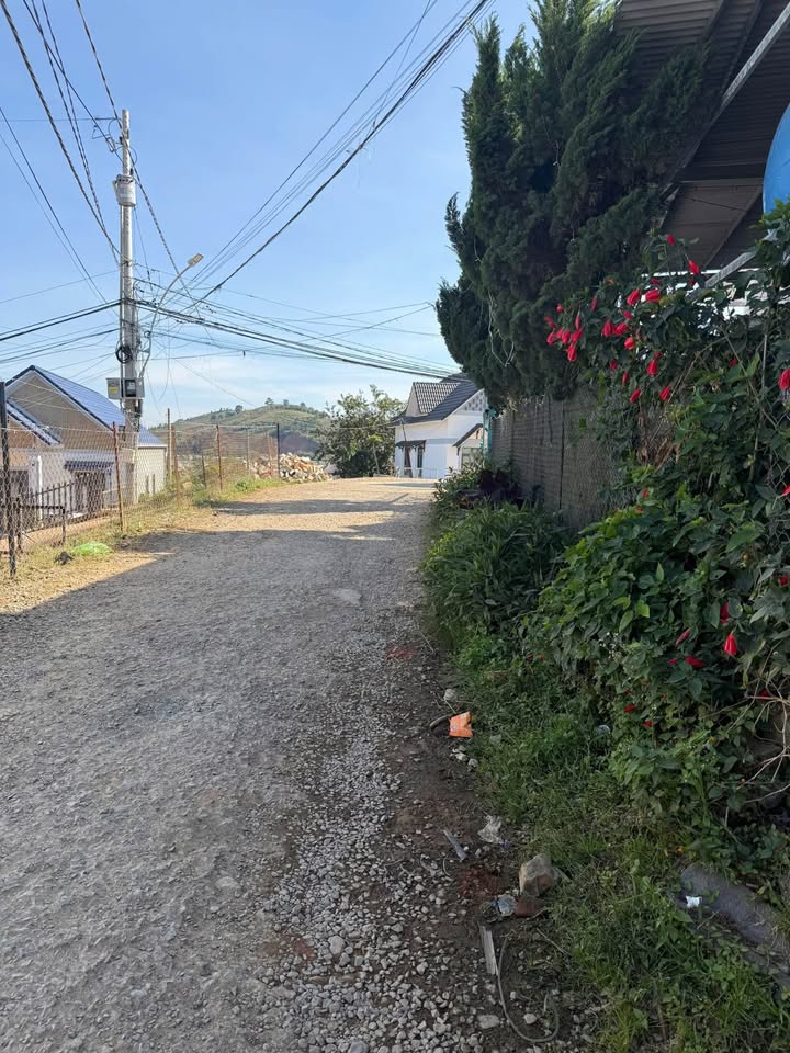 Bán đất tặng nhà mặt tiền đường Hoàng Cầm, Lạc Dương 870m² giá 10 tỷ - Đầu tư sinh lời ngay!