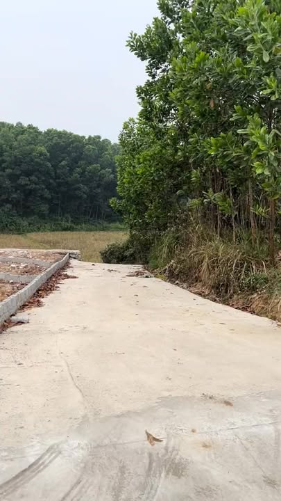 Đất nền Tân Cương Thái Nguyên 120m² giá đầu tư - Pháp lý rõ ràng, tiện ích đầy đủ!