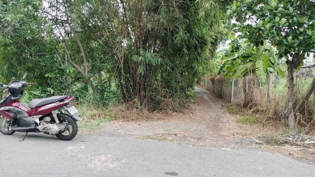 Đất lúa 4.200m² phường 4 Tân An giá 4.2 tỷ - Đường ô tô vào tận nơi!