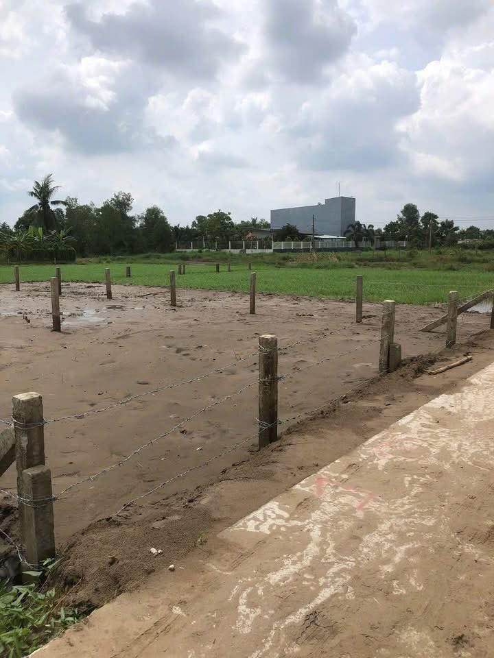 Đất thổ cư Tân Trụ Long An 125m² giá 389 triệu - Đường xe hơi tới nơi!