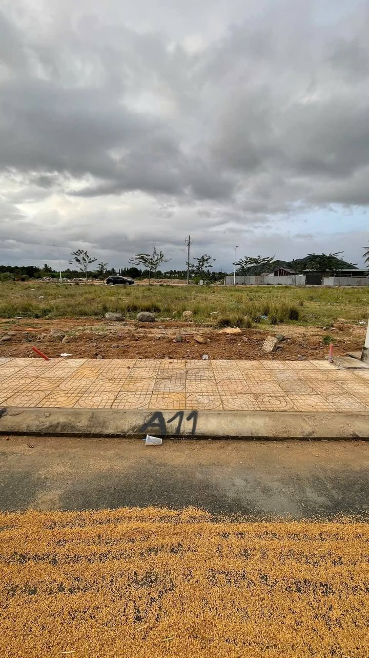 Lô đất A11 TDC Bệnh Viện Ninh Chữ 100m² giá 1.87 tỷ - Đối diện công viên xanh mát!