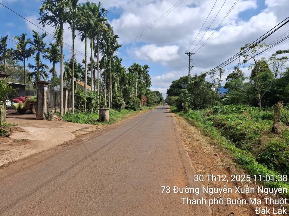 Đất góc 2 mặt tiền Nguyễn Xuân Nguyên, 500m², giá 6.5 tỷ - Cơ hội đầu tư hấp dẫn!