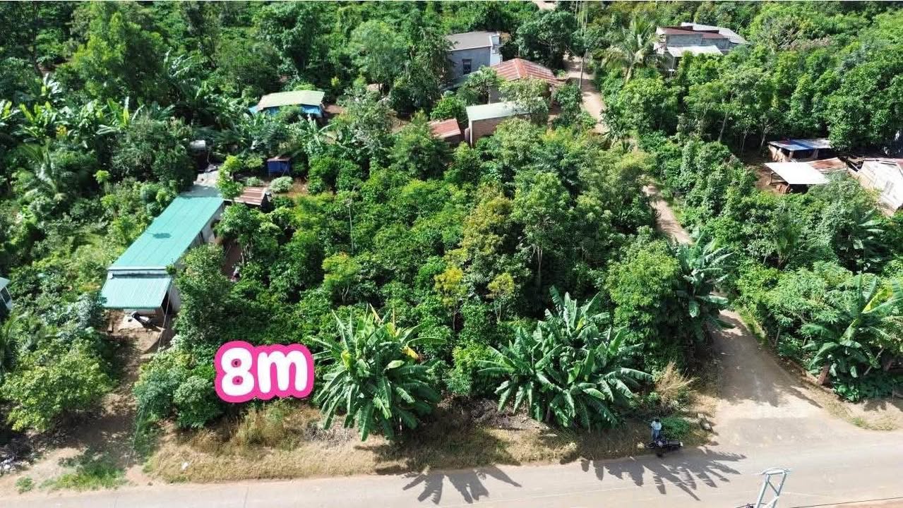 Đất nền mặt tiền đường Vành Đai, xã Tâm Thắng, 264m² chỉ 99 triệu - Cơ hội đầu tư hấp dẫn!