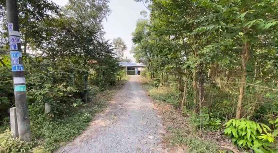 Đất thổ cư Tân An Hội Củ Chi 144m² giá 500 triệu - Cơ hội đầu tư hấp dẫn!