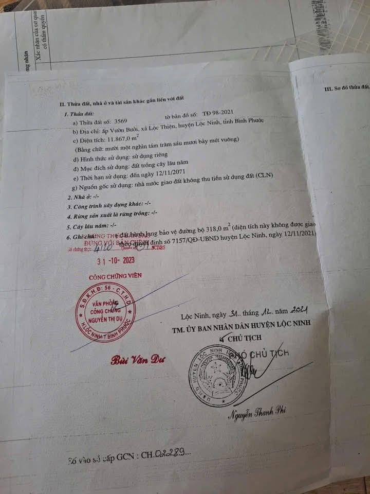 Farm Lộc Thiện 1,3ha giá chỉ 1,3 tỷ - Đầu tư sinh lời tuyệt vời!