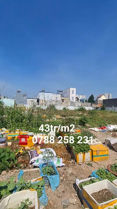 Đất nền Phạm Văn Đồng Thủ Đức 1.078m² giá 43 triệu/m² - Tiềm năng phát triển vượt trội!