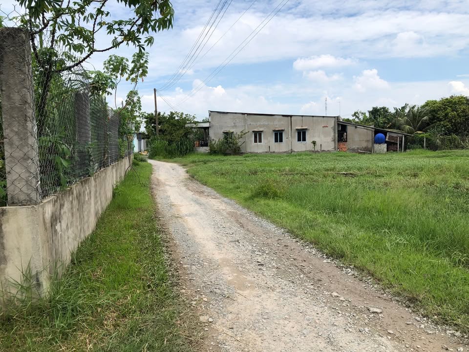 Đất thổ cư ấp 2, xã Đức Hòa Đông 130m² giá 1 tỷ - Sổ hồng chính chủ!