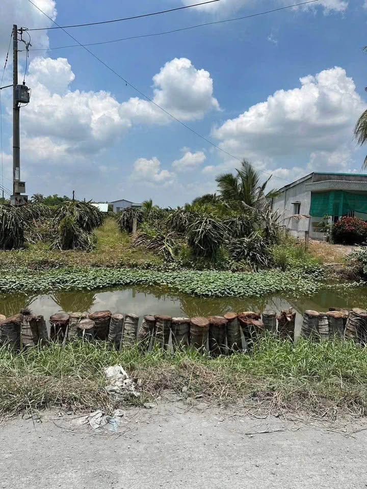 Đất thổ cư mặt tiền đường 827D, Phú Ngãi Trị, 270m² - Giá chỉ 989 triệu!