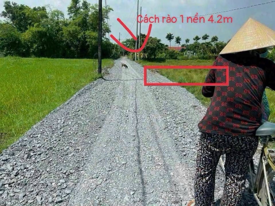 Đất thổ cư Hòa Khánh Đông 99m² giá 650 triệu - Bán gấp, sổ đỏ chính chủ!